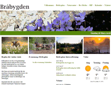 Tablet Screenshot of brabygden.se